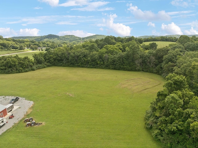 4215 Hampshire Pike, Hampshire, TN 38461 - photo 6