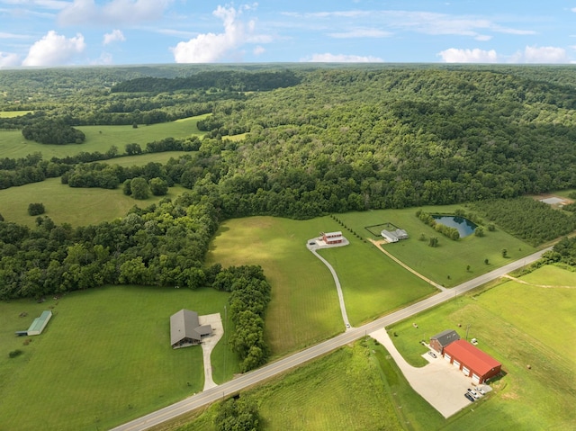 4215 Hampshire Pike, Hampshire, TN 38461 - photo 34