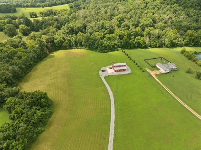 4215 Hampshire Pike, Hampshire, TN 38461 - photo 3