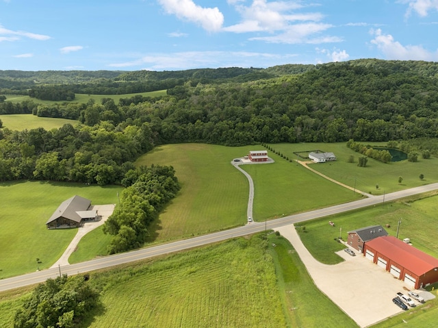 4215 Hampshire Pike, Hampshire, TN 38461 - photo 33