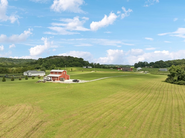 4215 Hampshire Pike, Hampshire, TN 38461 - photo 35