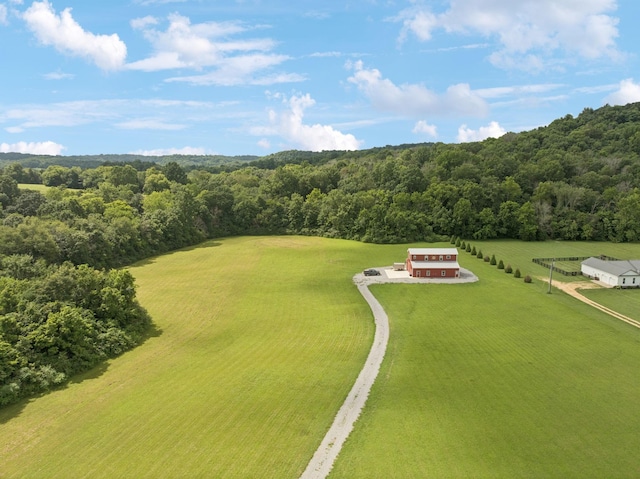 4215 Hampshire Pike, Hampshire, TN 38461 - photo 32