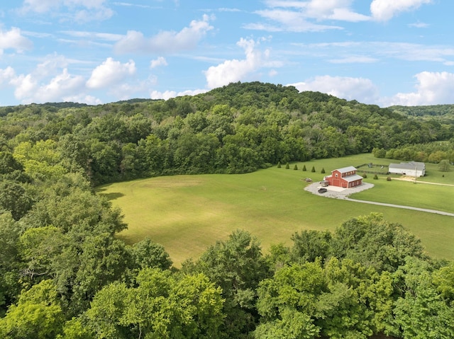 4215 Hampshire Pike, Hampshire, TN 38461 - photo 10