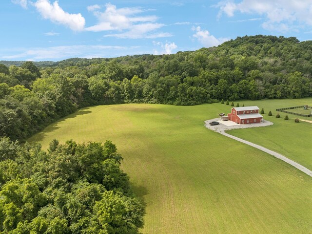 4215 Hampshire Pike, Hampshire, TN 38461 - photo 1
