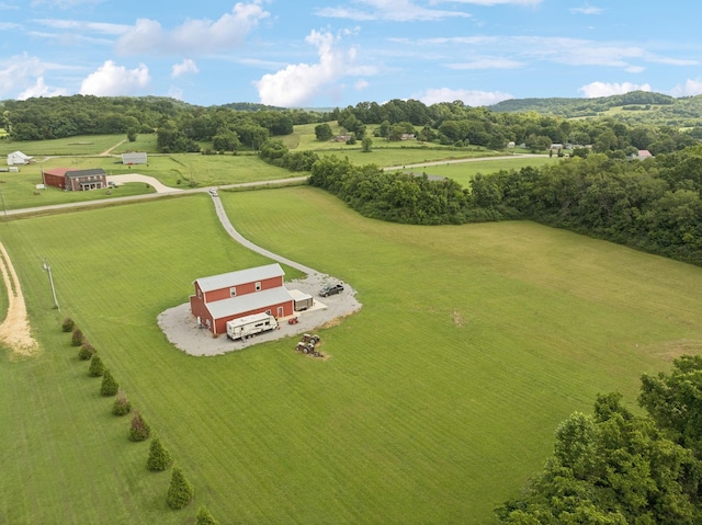 4215 Hampshire Pike, Hampshire, TN 38461 - photo 9