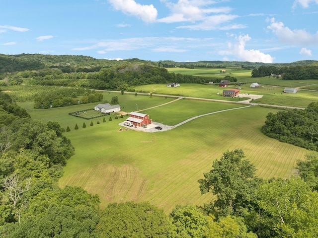 4215 Hampshire Pike, Hampshire, TN 38461 - photo 36