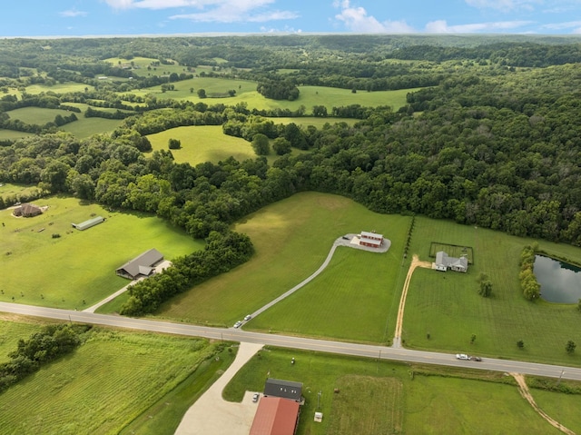 4215 Hampshire Pike, Hampshire, TN 38461 - photo 7