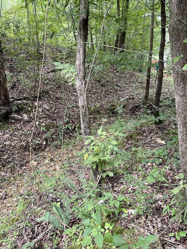 0 Brownfield Rd, Dover, TN 37058 - photo 3