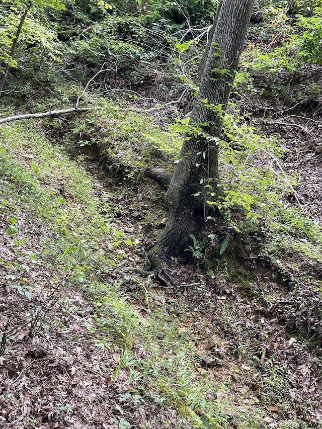 0 Brownfield Rd, Dover, TN 37058 - photo 2