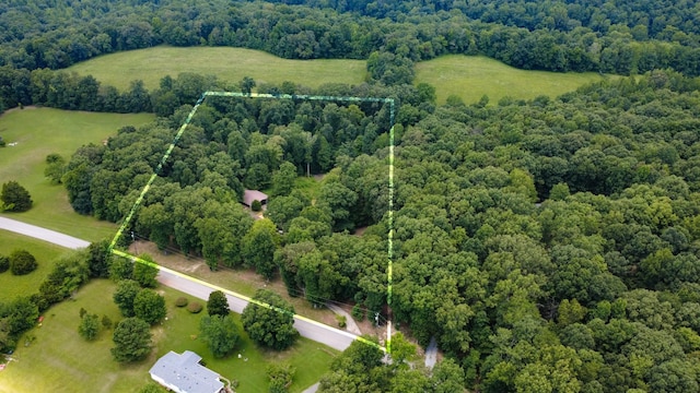 887 Harvey Rd, Cumberland Furnace, TN 37051 - photo 48