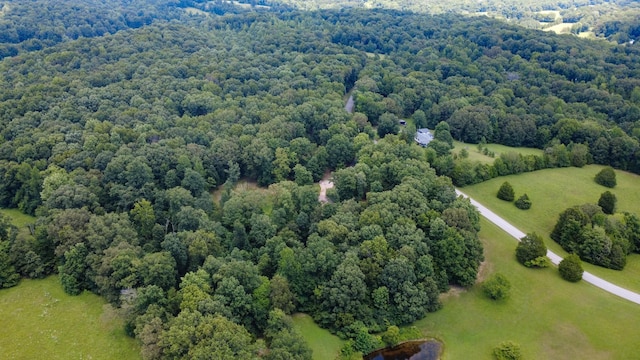 887 Harvey Rd, Cumberland Furnace, TN 37051 - photo 53