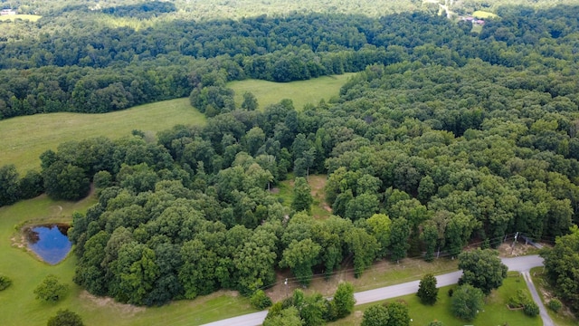 887 Harvey Rd, Cumberland Furnace, TN 37051 - photo 45