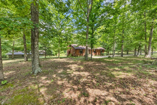 887 Harvey Rd, Cumberland Furnace, TN 37051 - photo 63