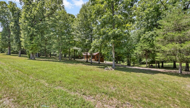 887 Harvey Rd, Cumberland Furnace, TN 37051 - photo 61