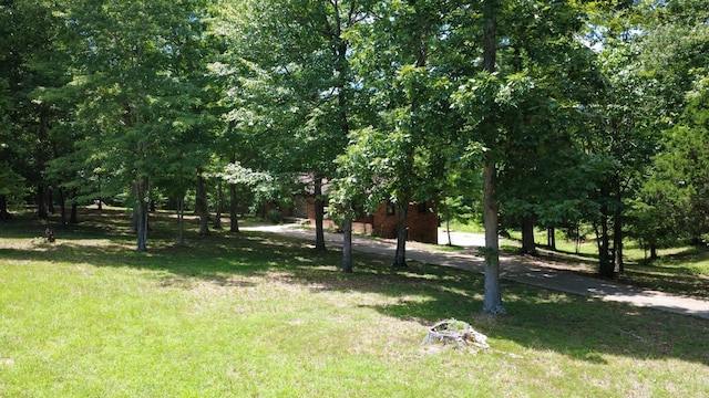 887 Harvey Rd, Cumberland Furnace, TN 37051 - photo 41