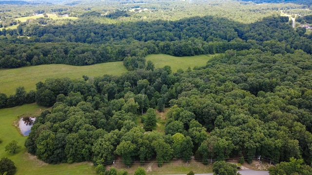 887 Harvey Rd, Cumberland Furnace, TN 37051 - photo 44