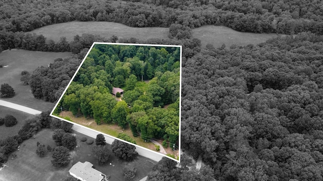 887 Harvey Rd, Cumberland Furnace, TN 37051 - photo 50