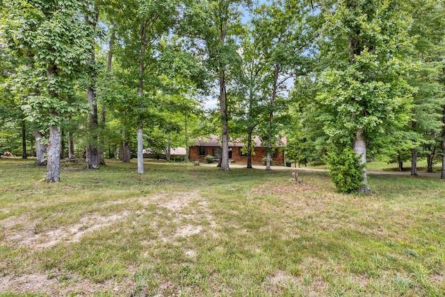 887 Harvey Rd, Cumberland Furnace, TN 37051 - photo 62