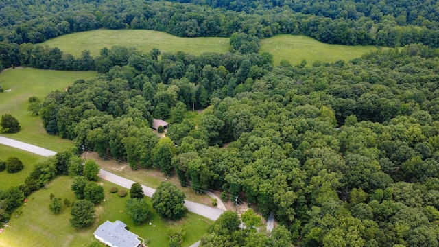 887 Harvey Rd, Cumberland Furnace, TN 37051 - photo 37