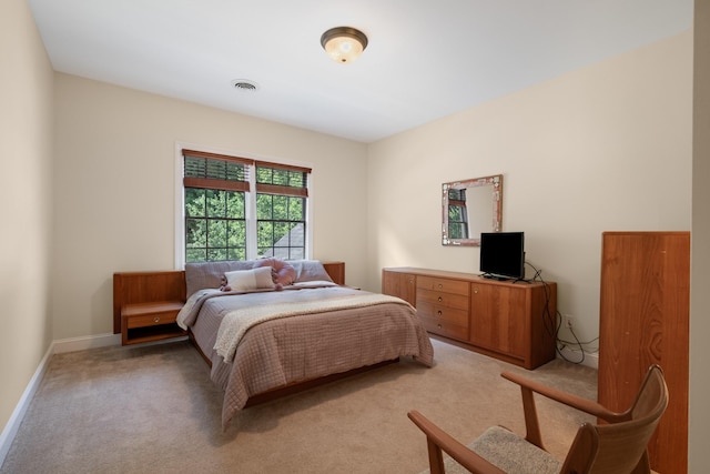 424 Sandcastle Rd, Franklin, TN 37069 - photo 52