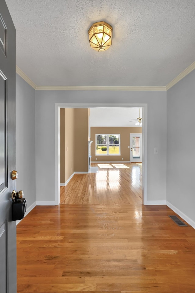 330 Winter Way, Murfreesboro, TN 37129 - photo 6