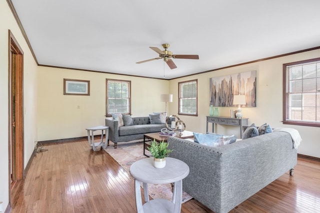 5169 Regent Dr, Nashville, TN 37220 - photo 18