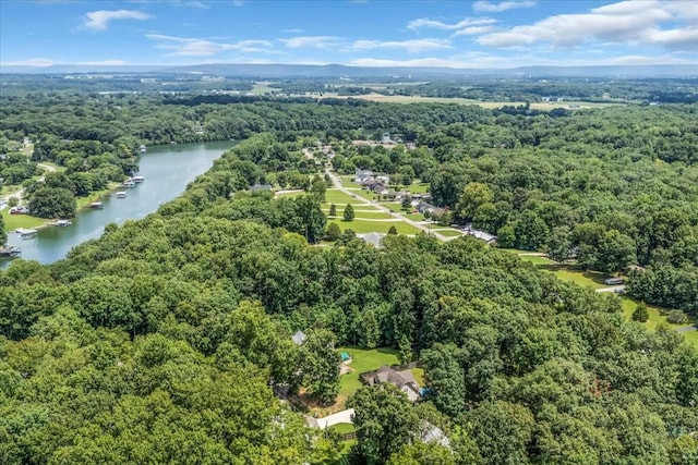 140 Hope Cir, Estill Springs, TN 37330 - photo 46
