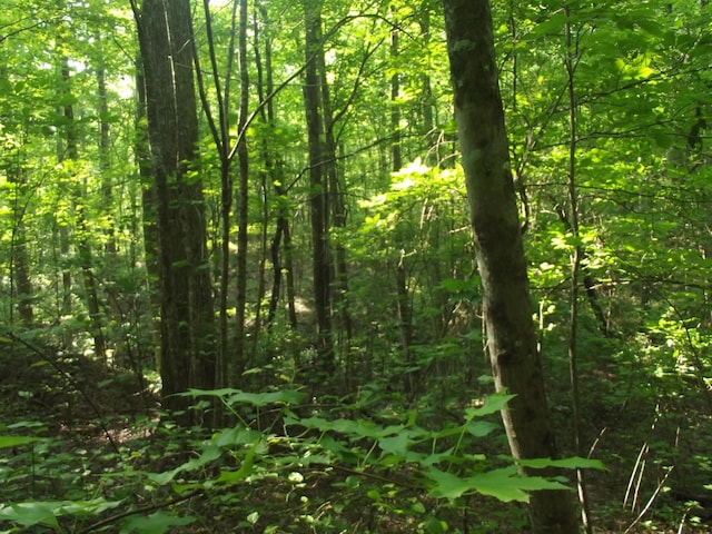 0 Old Altamont Rd, Tracy City, TN 37387 - photo 4