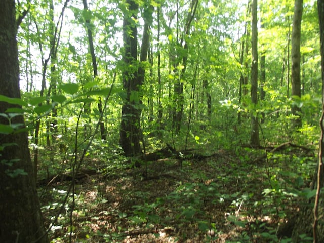 0 Old Altamont Rd, Tracy City, TN 37387 - photo 12