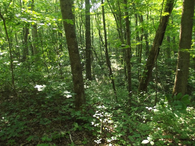 0 Old Altamont Rd, Tracy City, TN 37387 - photo 3