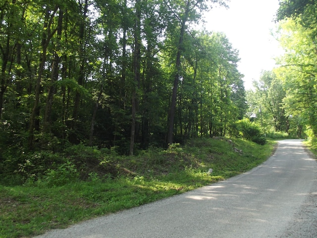 0 Old Altamont Rd, Tracy City, TN 37387 - photo 1