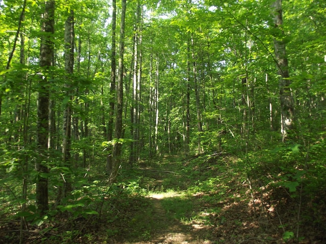 0 Old Altamont Rd, Tracy City, TN 37387 - photo 2