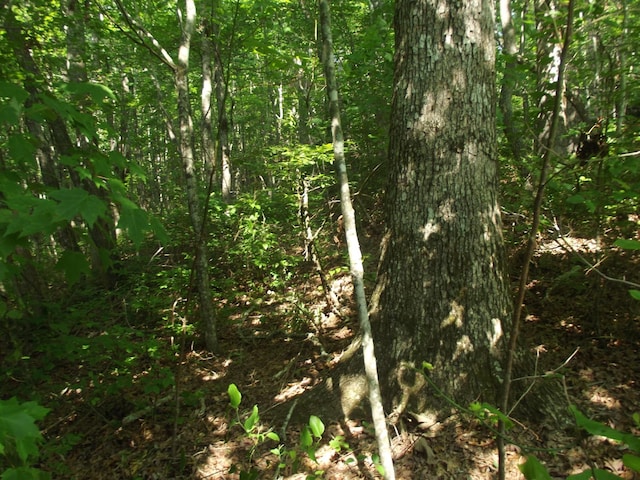 0 Old Altamont Rd, Tracy City, TN 37387 - photo 10
