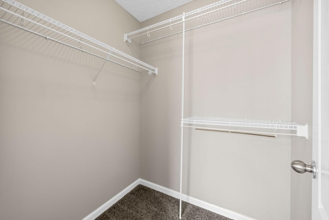 708 W Accipiter Cir, Clarksville, TN 37043 - photo 22