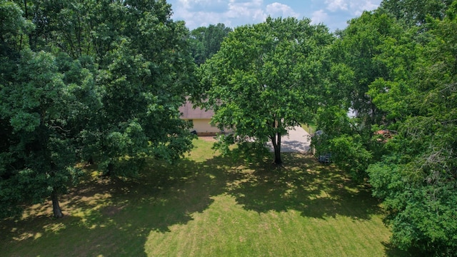 3115 Miles Dr, Murfreesboro, TN 37129 - photo 26