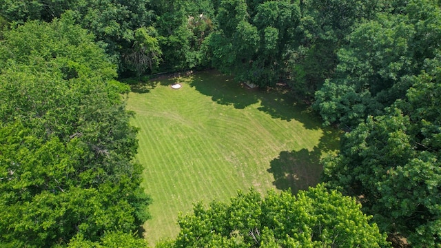 3115 Miles Dr, Murfreesboro, TN 37129 - photo 27