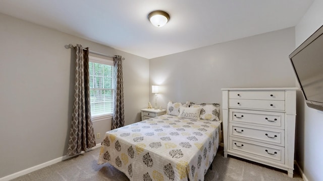 3115 Miles Dr, Murfreesboro, TN 37129 - photo 16