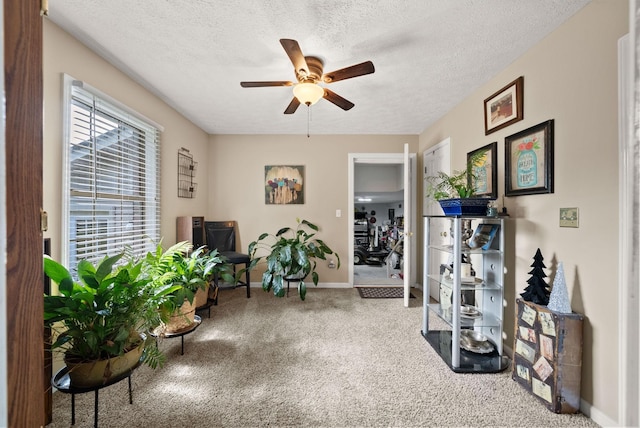 101 Crow Rd, Dover, TN 37058 - photo 27