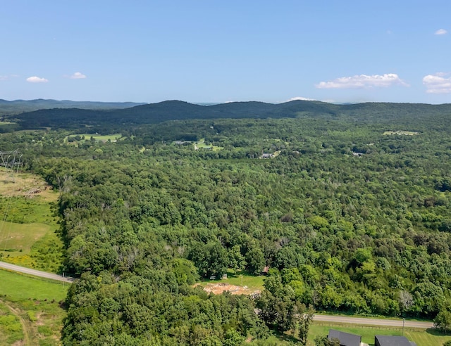 0 Patterson Rd, College Grove, TN 37046 - photo 11