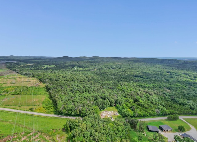0 Patterson Rd, College Grove, TN 37046 - photo 1