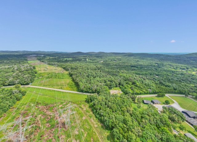0 Patterson Rd, College Grove, TN 37046 - photo 7