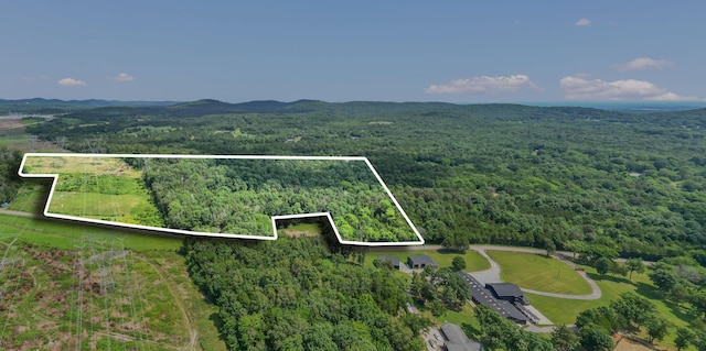 0 Patterson Rd, College Grove, TN 37046 - photo 14