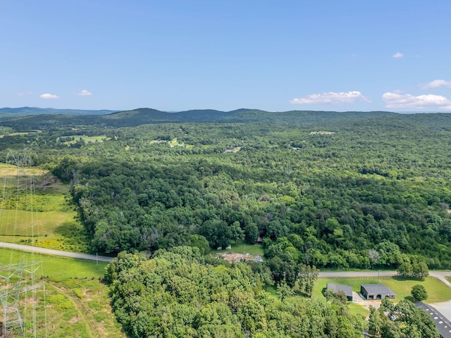 0 Patterson Rd, College Grove, TN 37046 - photo 12