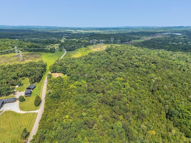 0 Patterson Rd, College Grove, TN 37046 - photo 8
