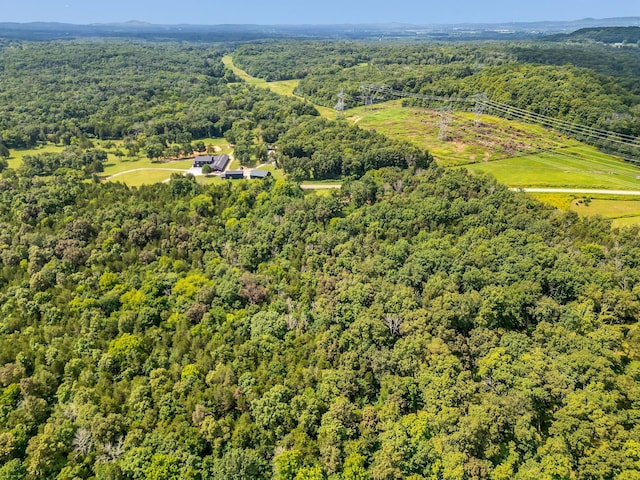 0 Patterson Rd, College Grove, TN 37046 - photo 4