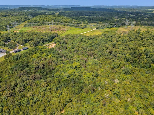 0 Patterson Rd, College Grove, TN 37046 - photo 3