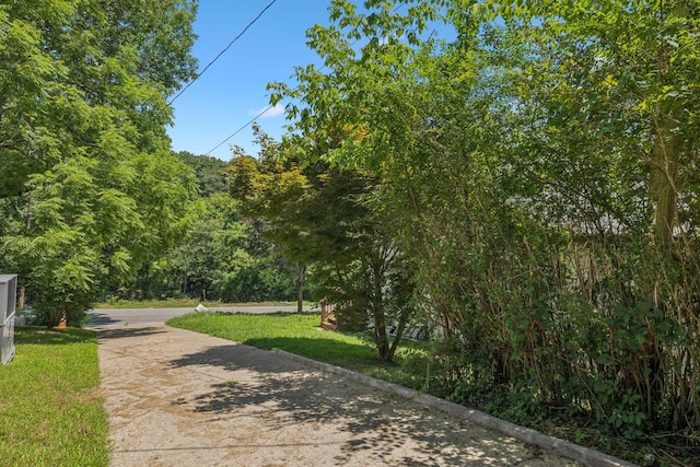 7932 Maple St, Lyles, TN 37098 - photo 43