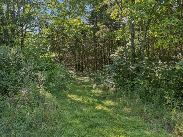 7199 Harper Rd, Joelton, TN 37080 - photo 43