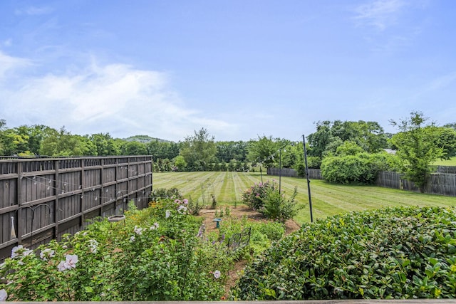 3137 Southall Rd, Franklin, TN 37064 - photo 34