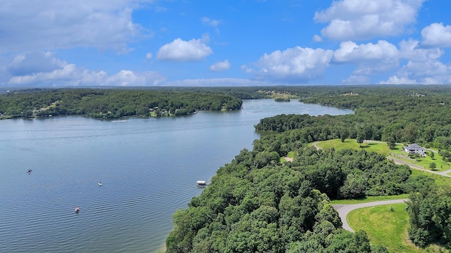 295 Kipling Cir S, Eddyville, KY 42038 - photo 42
